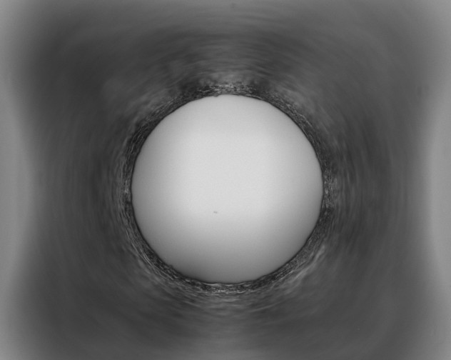 X0000088400913200705220818