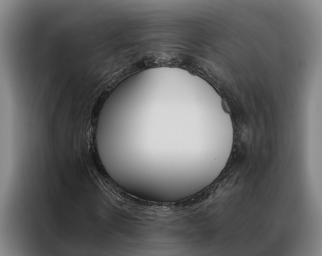 X0000088400914200705220818