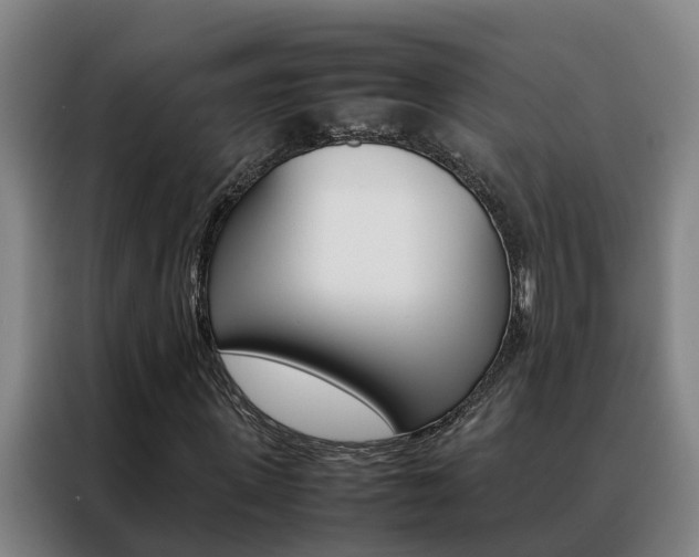 X0000088400915200705220818