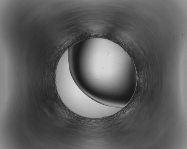 X0000088400916200705220818