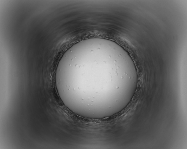 X0000088400917200705220818