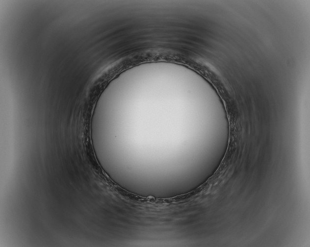 X0000088400919200705220818