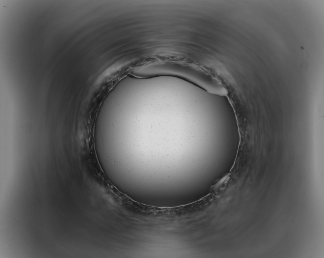 X0000088400920200705220818