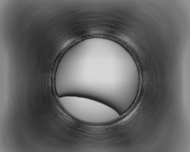 X0000088400921200705220818