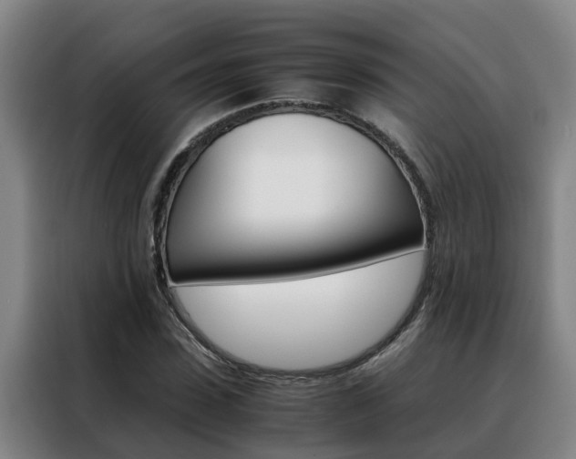 X0000088400923200705220818