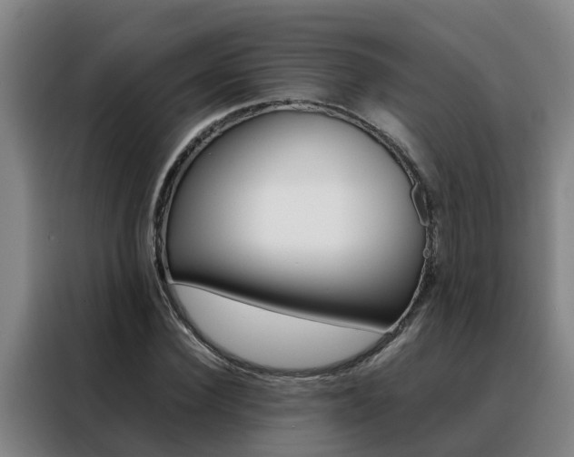 X0000088400924200705220818