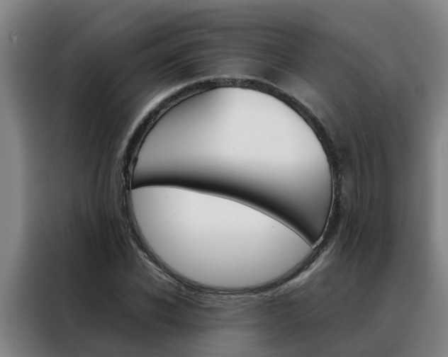 X0000088400926200705220818