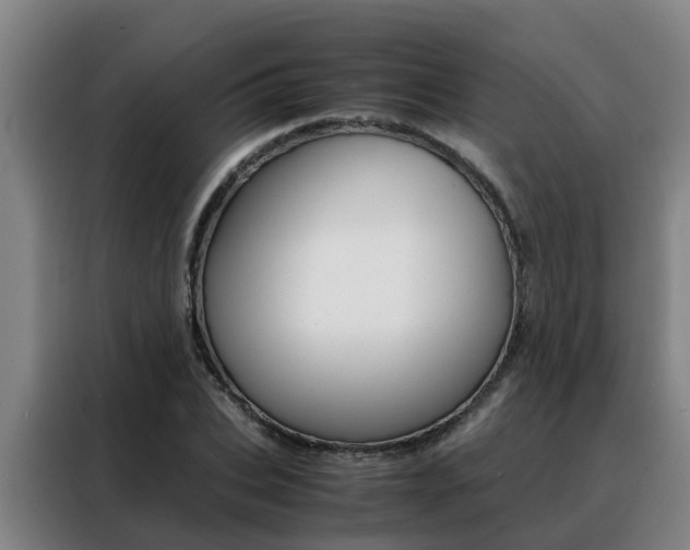 X0000088400927200705220818
