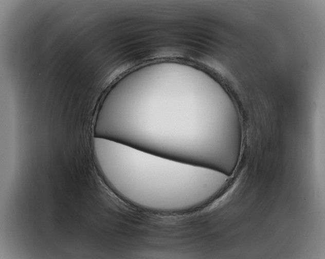 X0000088400929200705220818