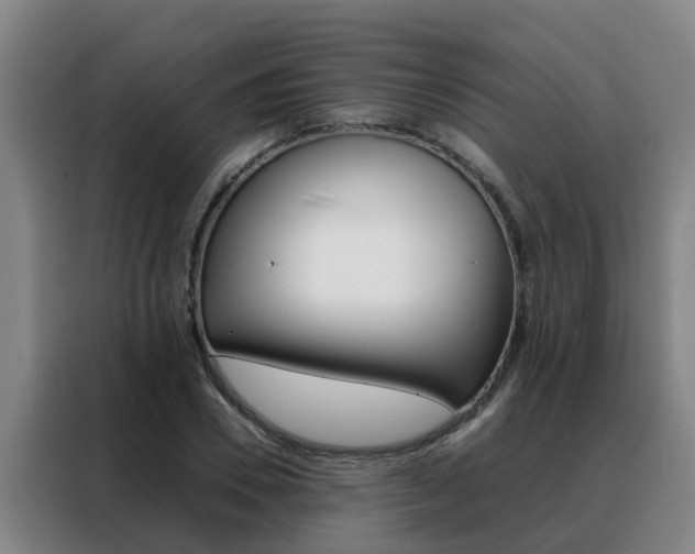 X0000088400930200705220818
