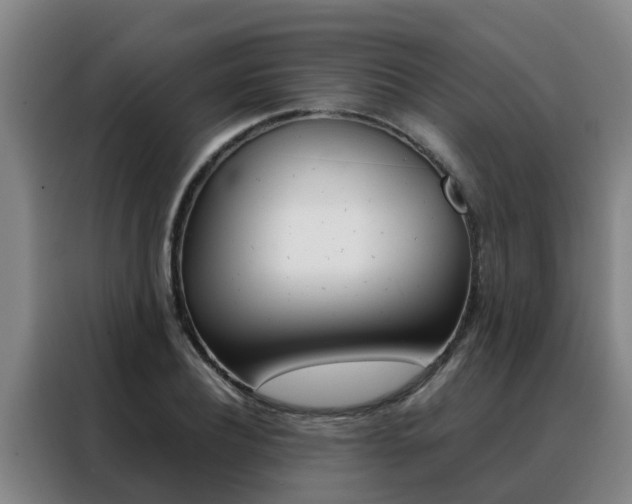X0000088400932200705220818