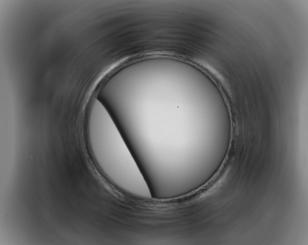 X0000088400933200705220818
