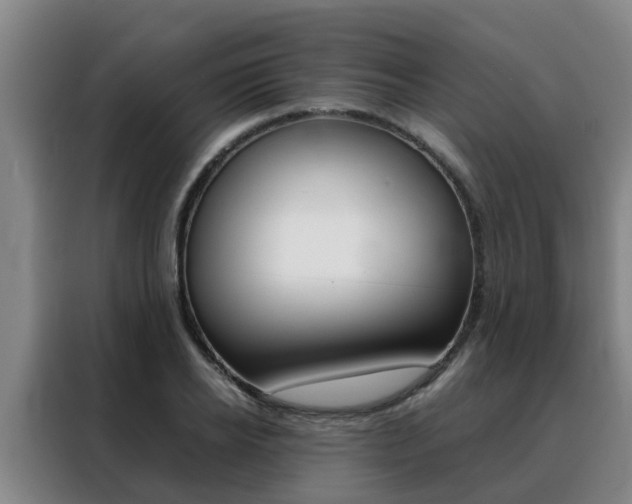 X0000088400934200705220818
