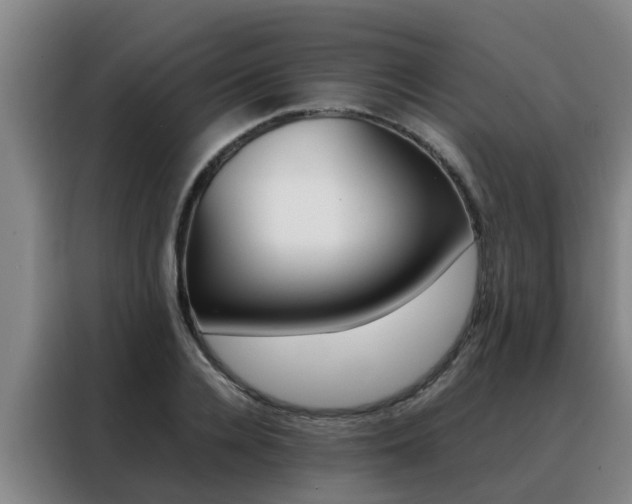X0000088400936200705220818