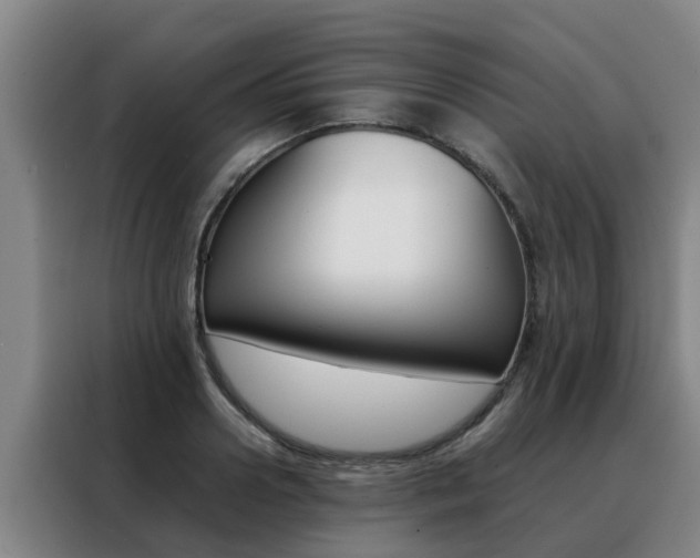 X0000088400938200705220818