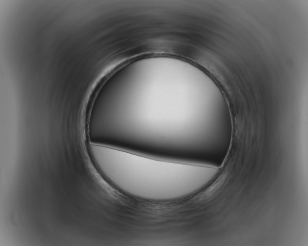 X0000088400939200705220818