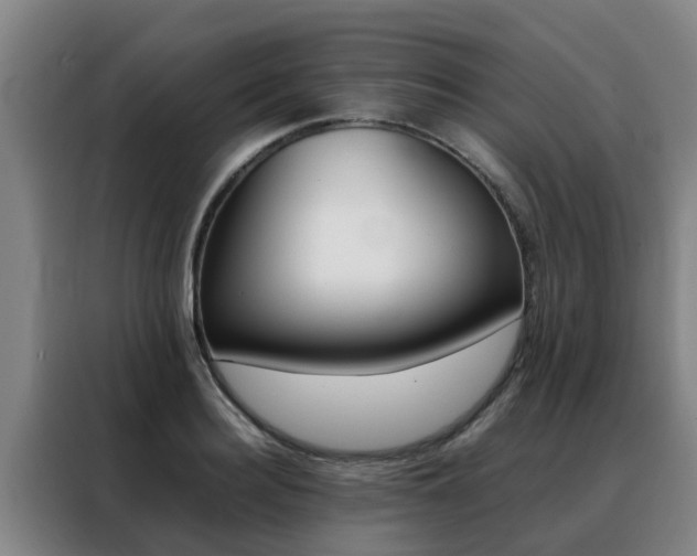 X0000088400940200705220818