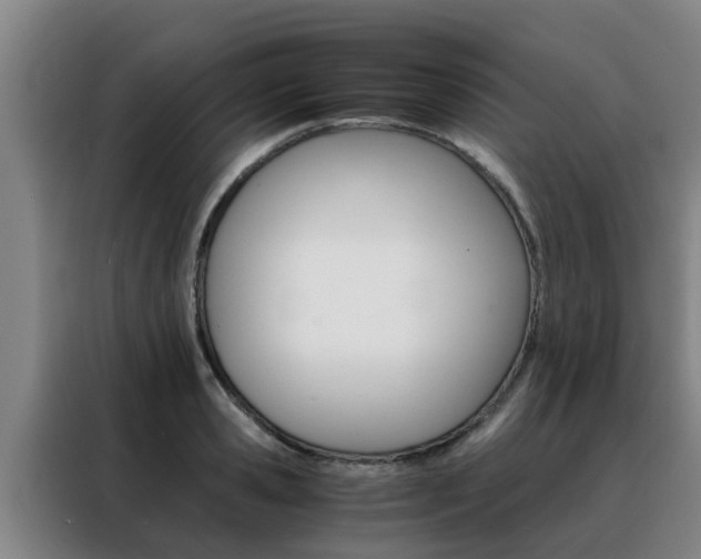 X0000088400941200705220818