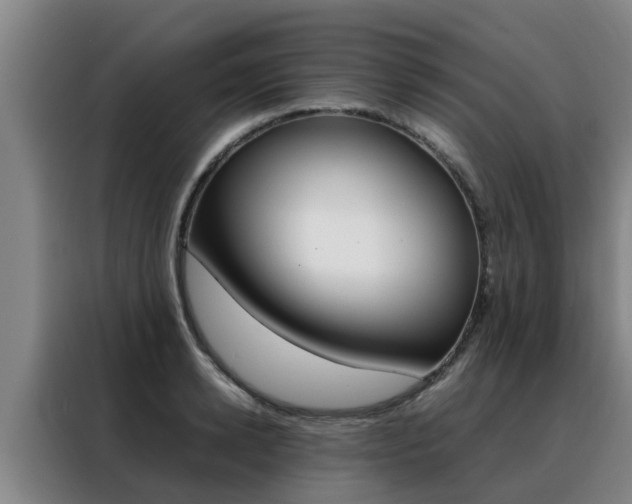 X0000088400942200705220818