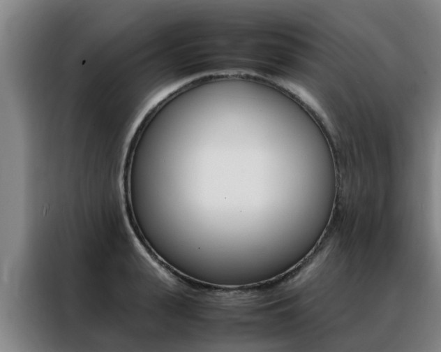 X0000088400943200705220818