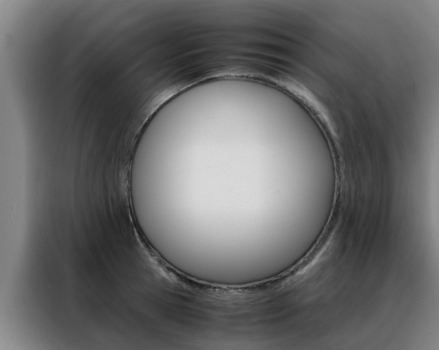 X0000088400945200705220818