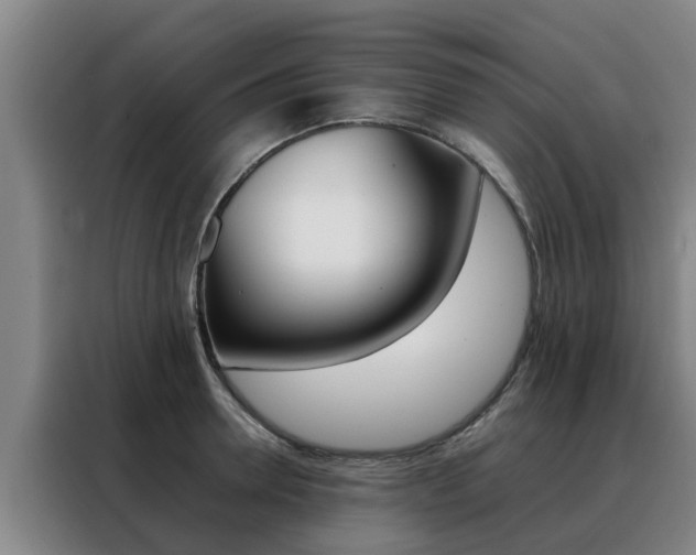 X0000088400946200705220818