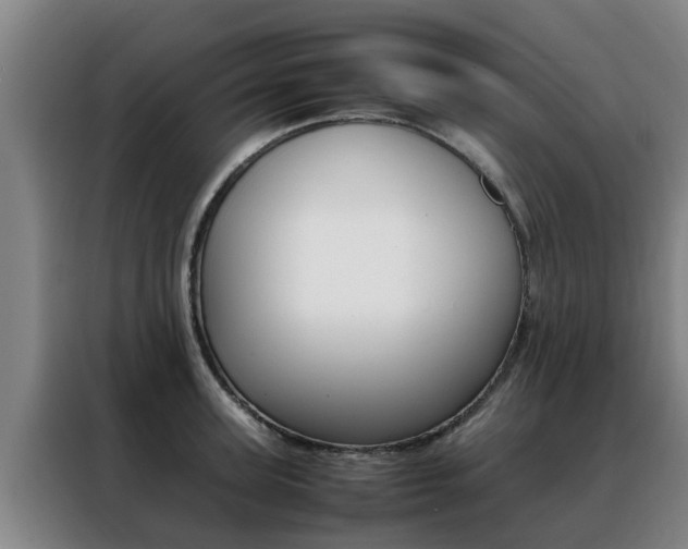 X0000088400947200705220818