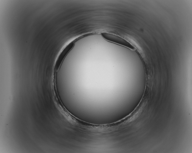 X0000088400948200705220818