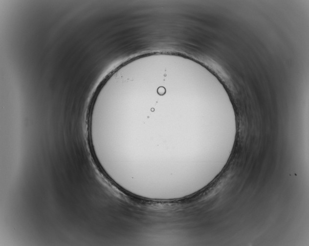 X0000088400950200705220818