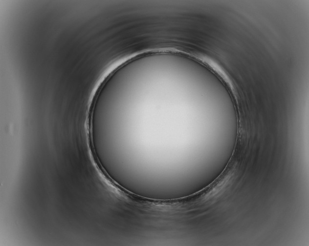 X0000088400951200705220818