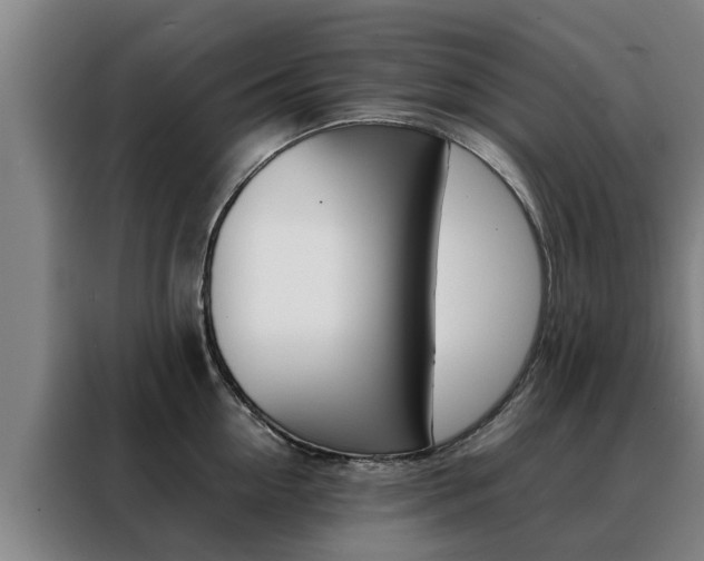 X0000088400954200705220818
