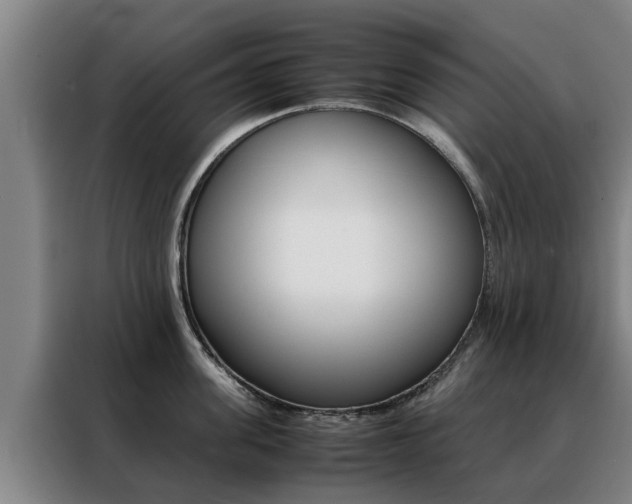 X0000088400955200705220818