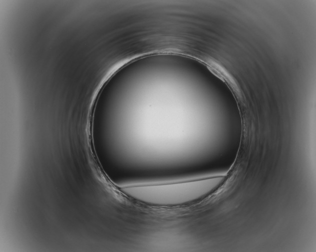 X0000088400956200705220818