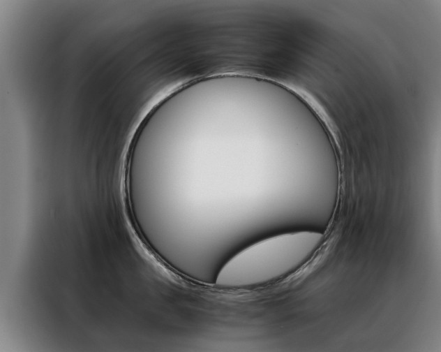 X0000088400957200705220818