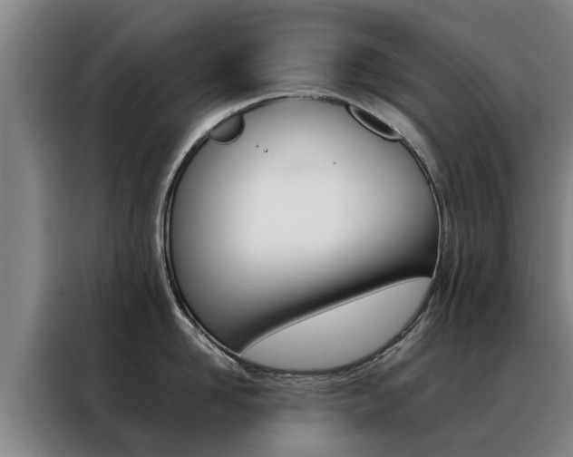 X0000088400958200705220819
