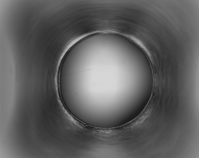 X0000088400959200705220819