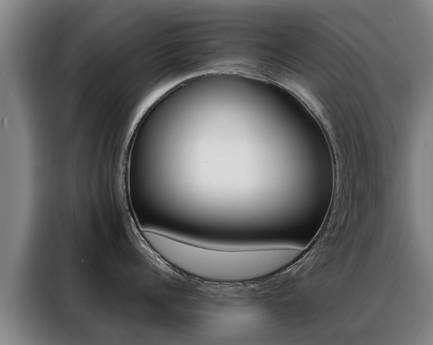X0000088400960200705220819