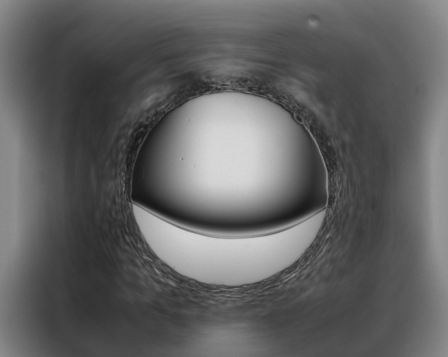 X0000088400965200705220818