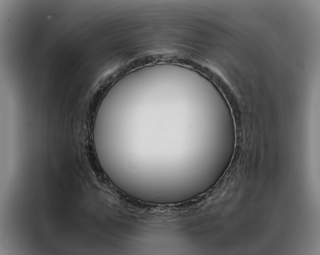 X0000088400967200705220818