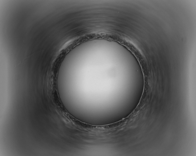 X0000088400968200705220818