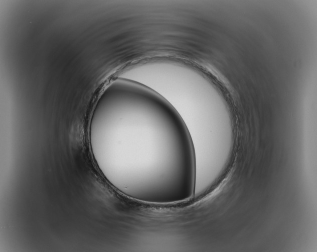 X0000088400969200705220818