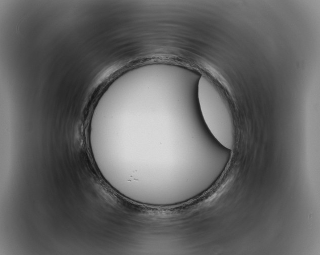 X0000088400970200705220818