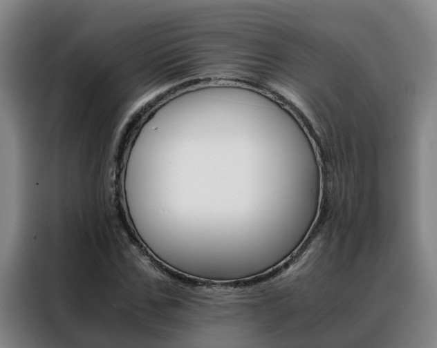 X0000088400971200705220818