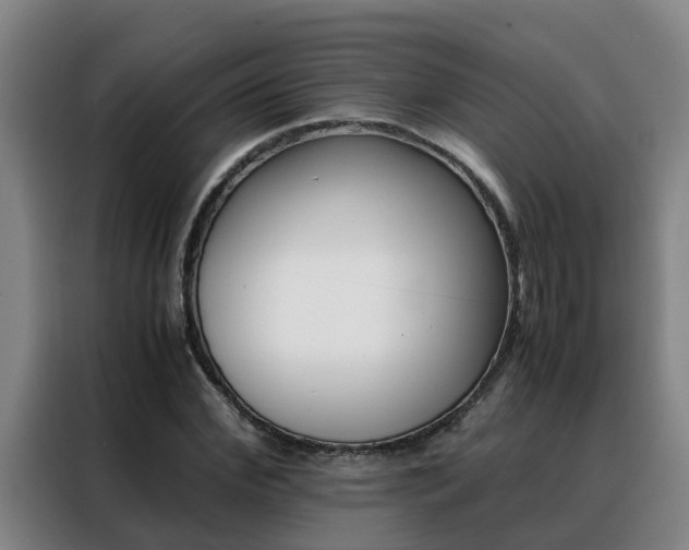 X0000088400972200705220818
