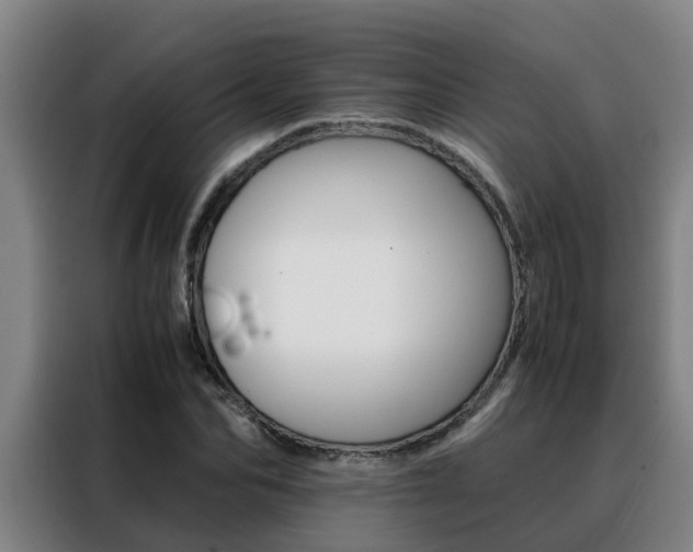 X0000088400974200705220818