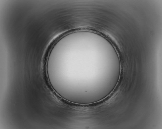 X0000088400975200705220818