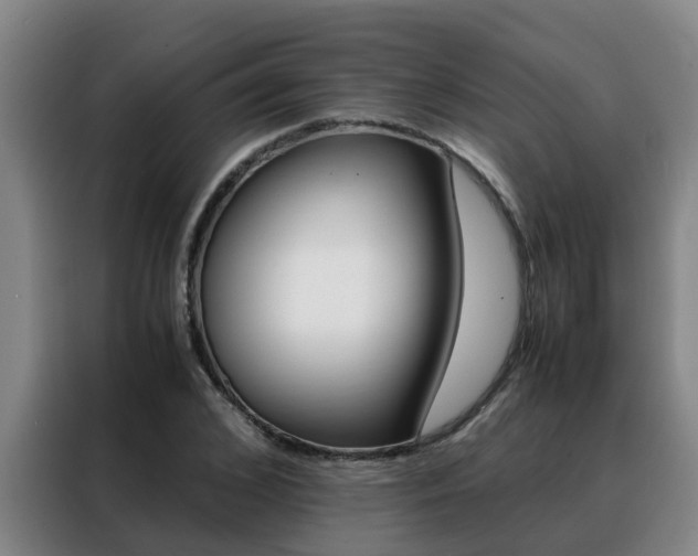 X0000088400976200705220818