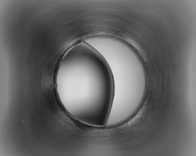 X0000088400977200705220818