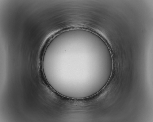 X0000088400979200705220818
