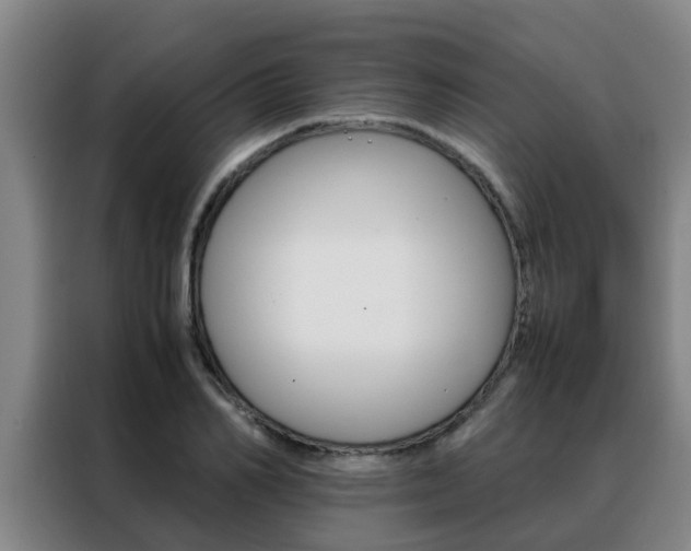X0000088400982200705220818